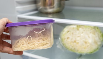 Réduire le gaspi : astuces pour réutiliser les restes de cuisine