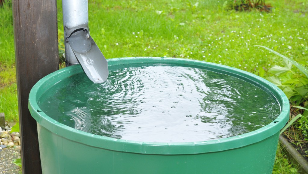 Astuces pour réduire votre consommation d\'eau au jardin