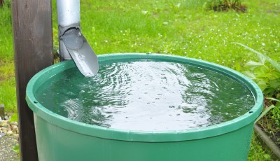 Astuces pour réduire votre consommation d\'eau au jardin
