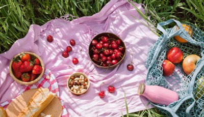 Conseils pour un pique-nique zéro déchet