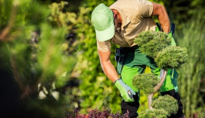 Comment préparer son jardin pour l’hiver : entretien et protection