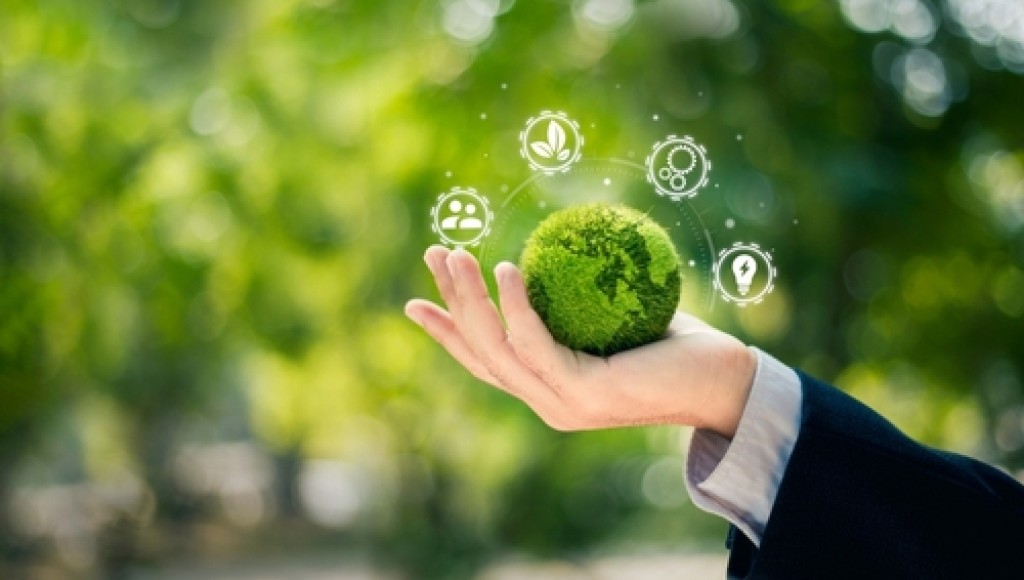 Consommation éco-responsable : 10 gestes faciles pour débuter