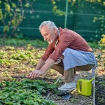 10 légumes faciles à cultiver chez soi