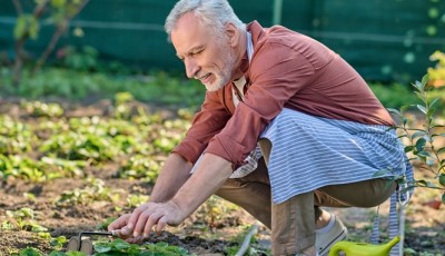 10 légumes faciles à cultiver chez soi