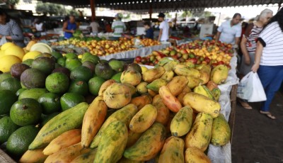 Quels fruits et légumes sont vraiment moins chers en vrac ?