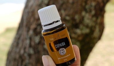 3 huiles essentielles incontournables pour les petits bobos