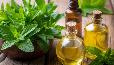 Mal de tête ? Essayez ces alternatives sans médicament