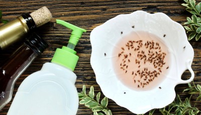 \"Piège à mouches DIY en 2 minutes chrono