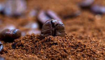 Le marc de café : 4 utilisations insoupçonnées au jardin