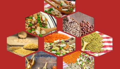 5 produits pas chers qu’on rachète à chaque fois