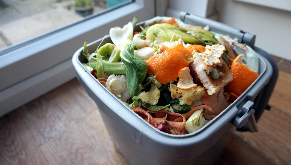 Organisation simple pour ne plus jeter de nourriture