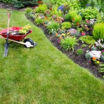 Comment entretenir son jardin sans y passer des heures