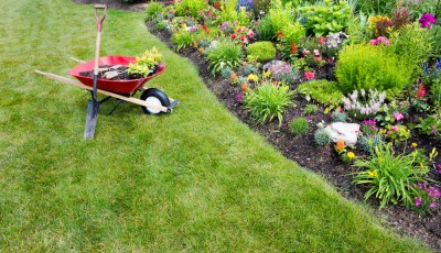Comment entretenir son jardin sans y passer des heures