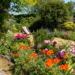 Jardin sans entretien : est-ce vraiment possible ?