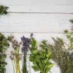 Les plantes médicinales indispensables à avoir chez soi