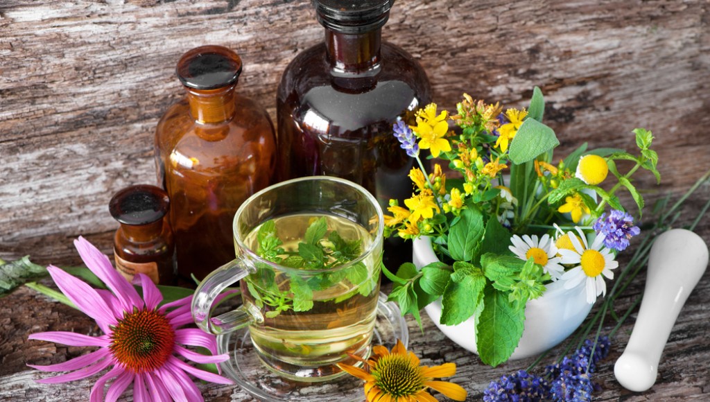 Ces plantes reconnues pour favoriser le sommeil