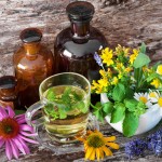 Ces plantes reconnues pour favoriser le sommeil