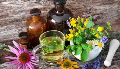 Ces plantes reconnues pour favoriser le sommeil