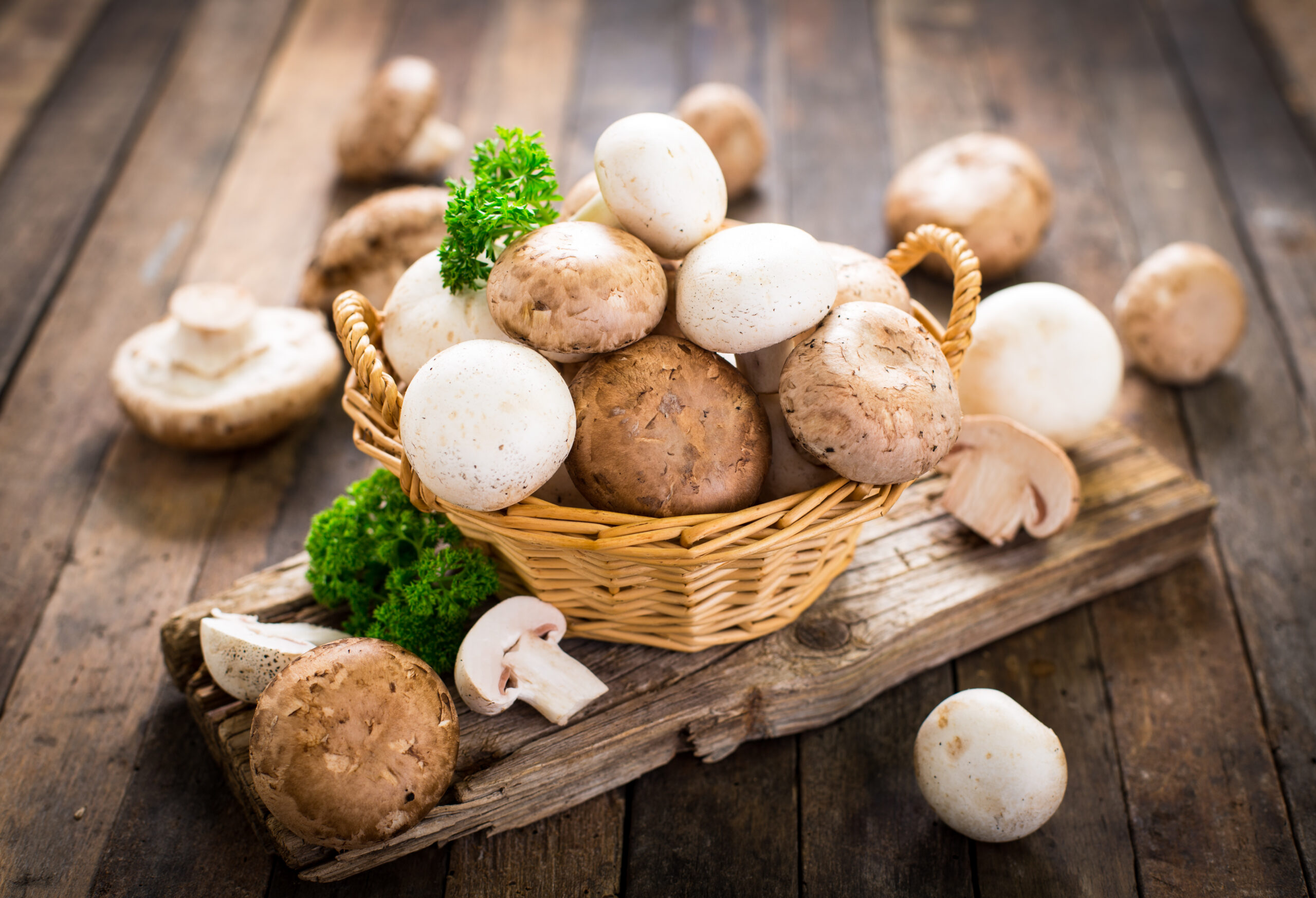 Top 5 des fruits et légumes du mois de septembre