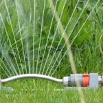 Arrosage : la bonne fréquence selon chaque plante