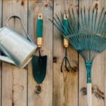 Les outils indispensables pour entretenir son jardin