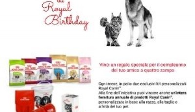Concorso \"The Royal Birthday\": vinci un regalo speciale per il compleanno del tuo amico a quattro zampe