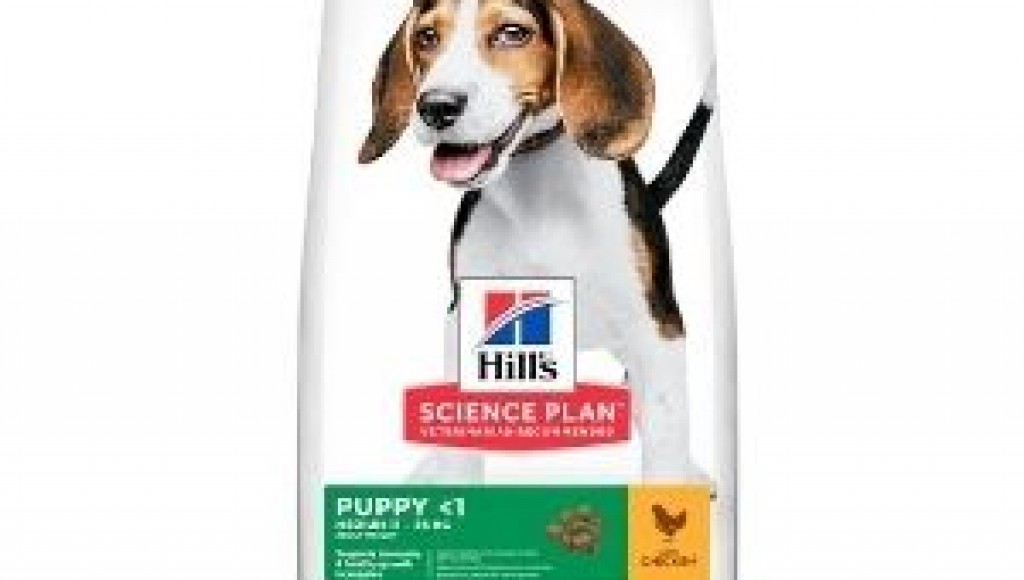 SCIENCE PLAN MUESTRAS GRATIS