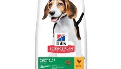 SCIENCE PLAN MUESTRAS GRATIS