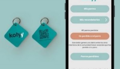 500 PLACAS KOLYY DE REGALO