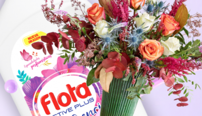 FLOTA ACTIVE PLUS REGALA 10 PACKS