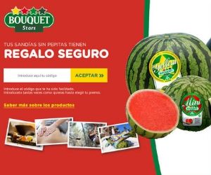 APROVECHA TU REGALO SEGURO CON LAS SANDÍAS BOUQUET STARS