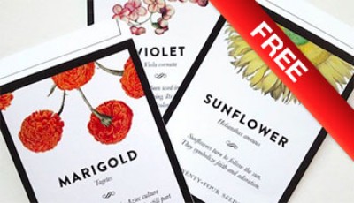 100% Free Seedpack