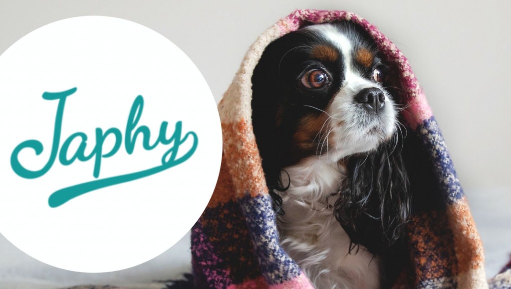 Tentez de remporter 1 an de croquettes pour chien Japhy