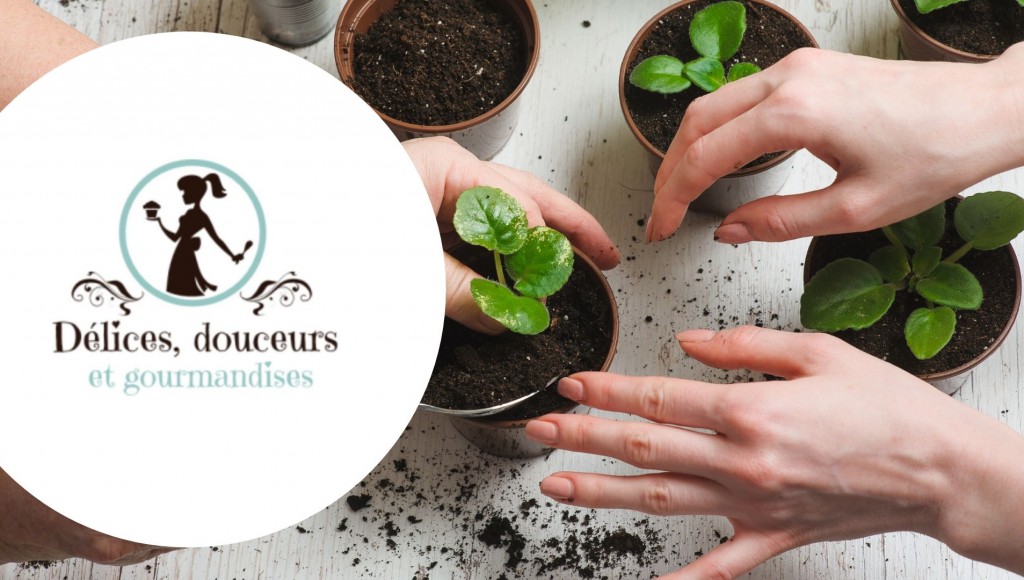 Tentez de remporter un kit de plantation pour la fête des Mères