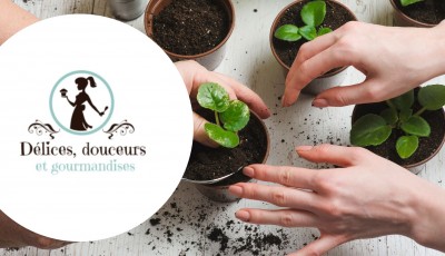 Tentez de remporter un kit de plantation pour la fête des Mères