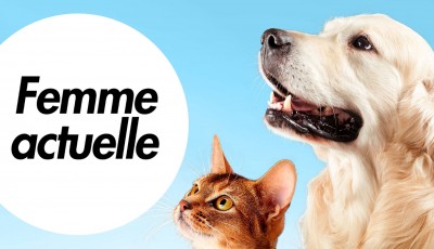 Gagnez un lot beauté bien-être pour chiens ou chats d\'une valeur de 204€