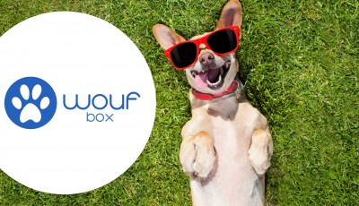 Remportez 1 carte cadeau Woufbox de 12 mois (178 euros)