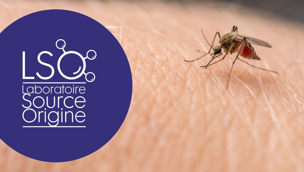 Testez gratuitement l’auto diffuseur nomade Repulstick du Laboratoire Source Origine