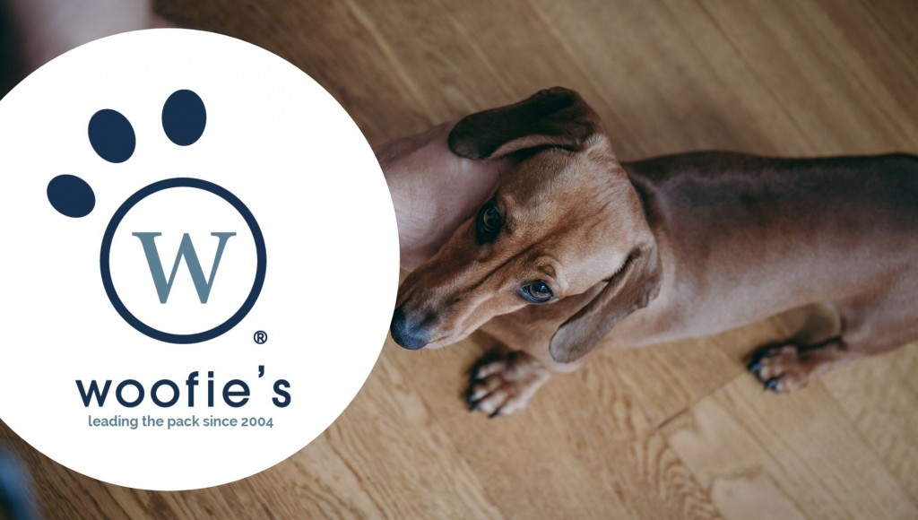 Testez gratuitement les Friandises Woofies Bio pour Chiens Zolux