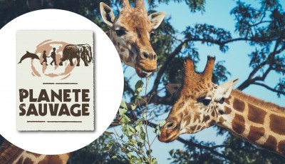 Gagnez 4 places pour le parc Planète Sauvage