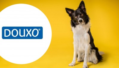 Testez gratuitement le shampooing DOUXO S3 CARE pour Chien
