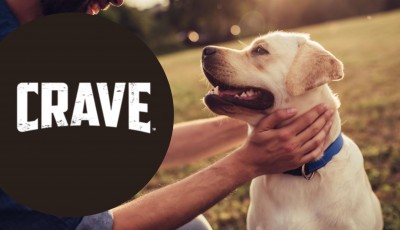 Testez gratuitement les friandises de récompense pour chien CRAVE