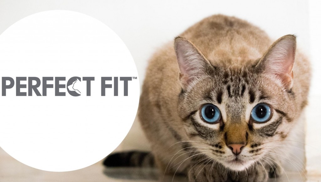 Testez gratuitement le contrôle de Boules de Poils PERFECT FIT pour chats