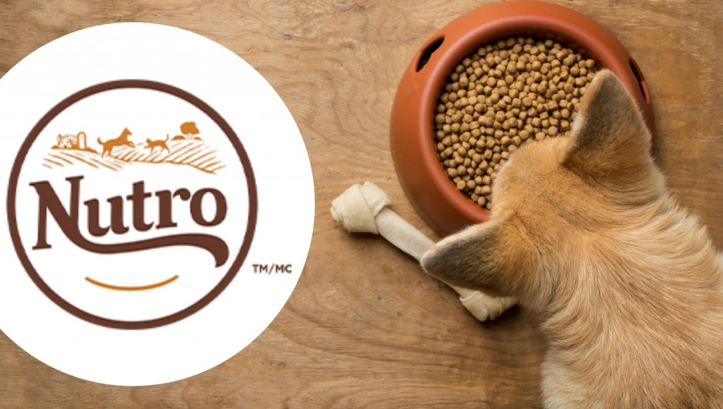 Testez gratuitement les Croquettes pour Chien Nutro WILD FRONTIER