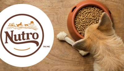 Testez gratuitement les Croquettes pour Chien Nutro WILD FRONTIER