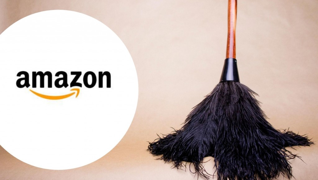 Testez gratuitement un Plumeau Multi-Usages