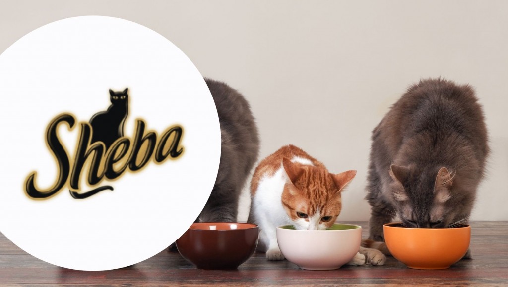 Testez gratuitement l\'alimentation pour chat Délicatesses en Gelée Sheba