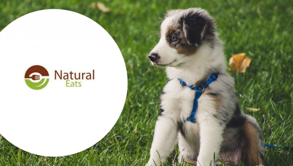Testez gratuitement les filets de poulet Natural Eats pour chiens