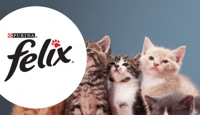 Recevez gratuitement les friandises FELIX® PARTY MIX™ pour chats