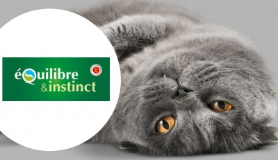 Testez gratuitement le Pack Bi-Nutrition Croquettes & Terrines pour chats